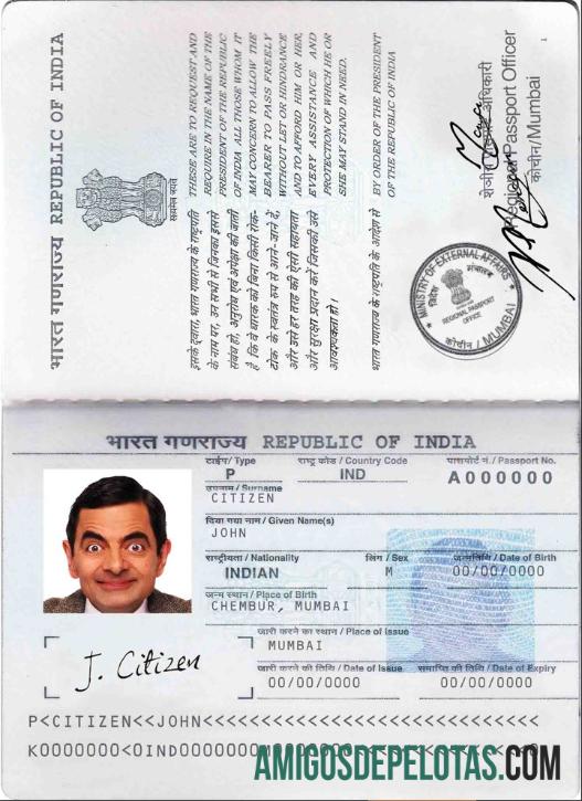 Passaporte da Índia (2013 – presente) modelo